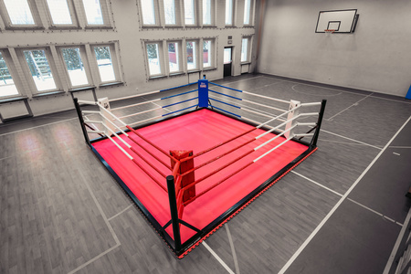 Lina do ringu bokserskiego