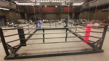 Profesjonalny ring bokserski podłogowy 7 x 7 m
