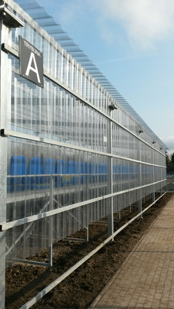 Zadaszenie trybuny (proste)