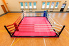 Profesjonalny ring bokserski podłogowy 5 x 5 m