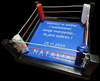 Miniaturowy ring bokserski z dedykacją