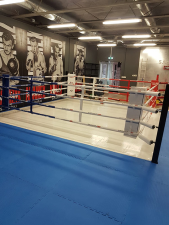 Profesjonalny ring bokserski podłogowy 5 x 5 m