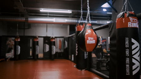 Panele MMA w formie ścian do oktagonu