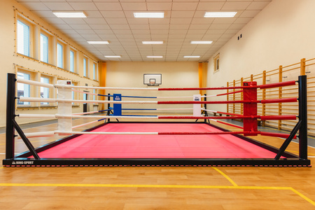 Profesjonalny ring bokserski podłogowy 5 x 5 m