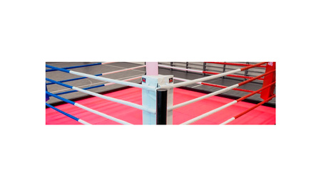 Lina do ringu bokserskiego