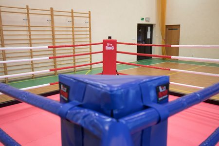 Profesjonalny narożnik do ringu bokserskiego FULL COLOR z nadrukiem