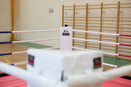 Profesjonalny narożnik do ringu bokserskiego FULL COLOR z nadrukiem