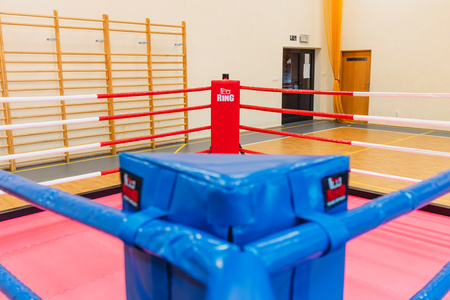 Profesjonalny ring bokserski podłogowy 4 x 4 m